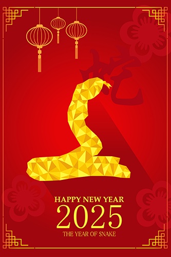 ano da serpente