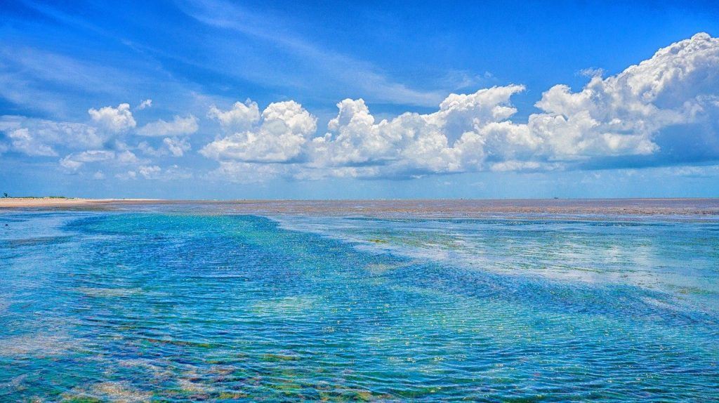 O que significa sonhar com água do mar?