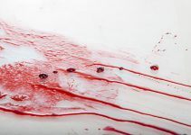 O que significa sonhar com sangue de menstruação?